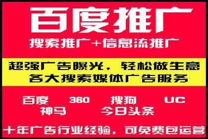 某品牌SEM推广代运营的实践与效果评估
